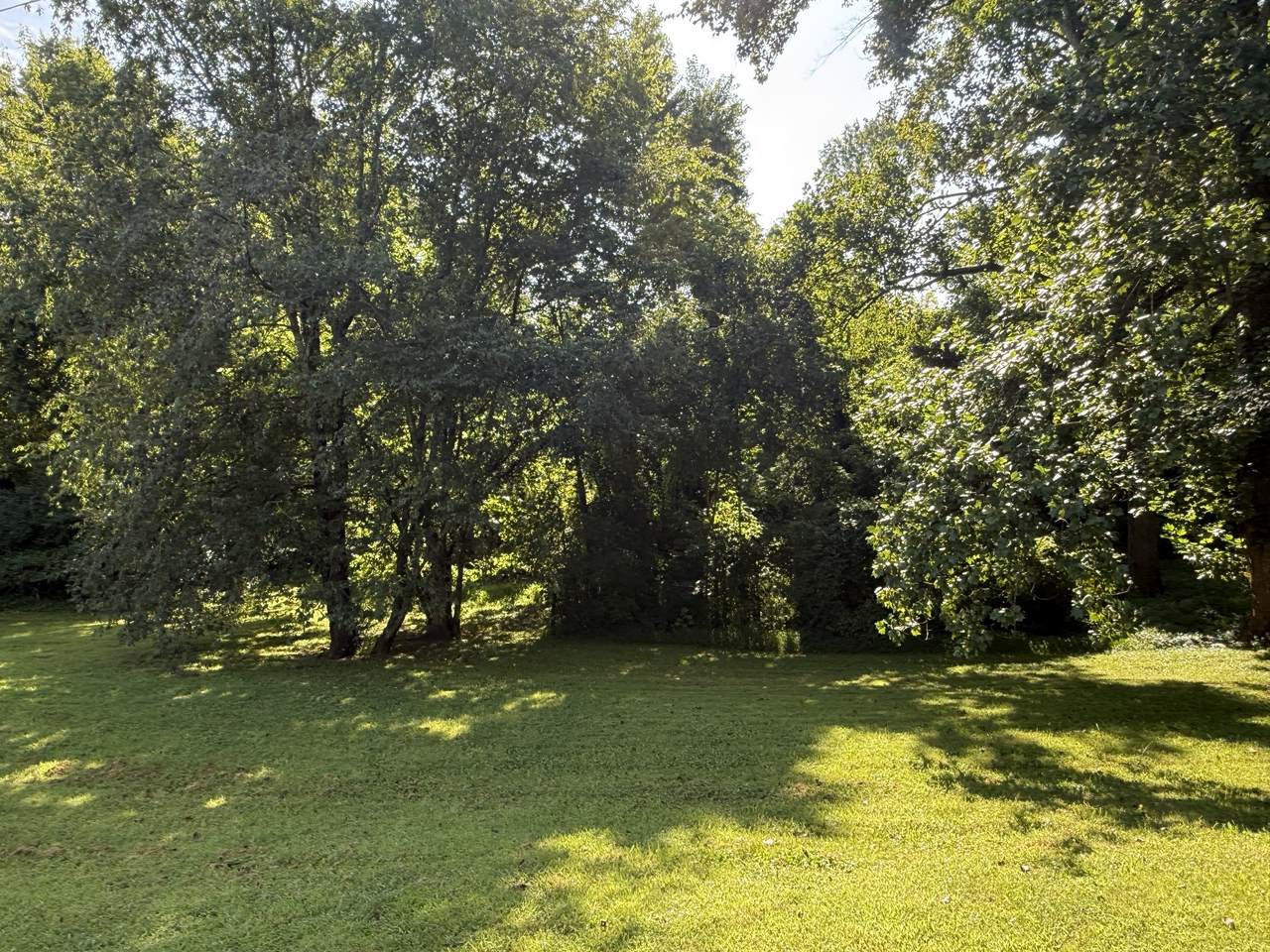 https://bt-photos.global.ssl.fastly.net/nashville/1280_boomver_1_RTC3499850-1.jpg