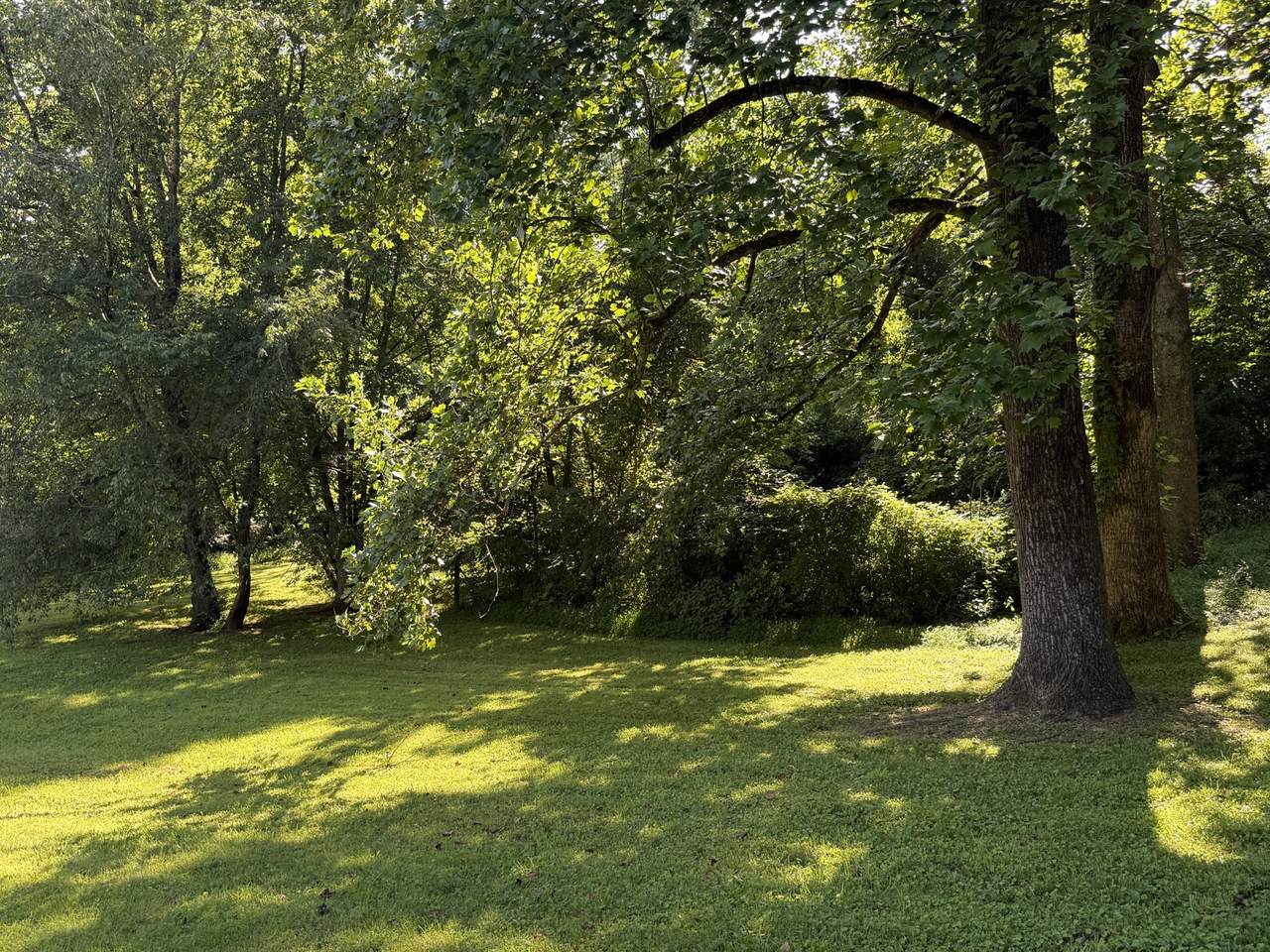 https://bt-photos.global.ssl.fastly.net/nashville/1280_boomver_1_RTC3499850-1.jpg