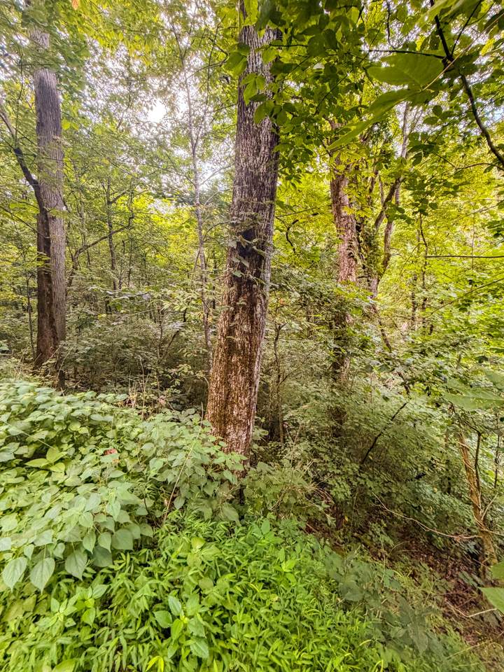 https://bt-photos.global.ssl.fastly.net/nashville/orig_boomver_1_RTC3500895-1.jpg