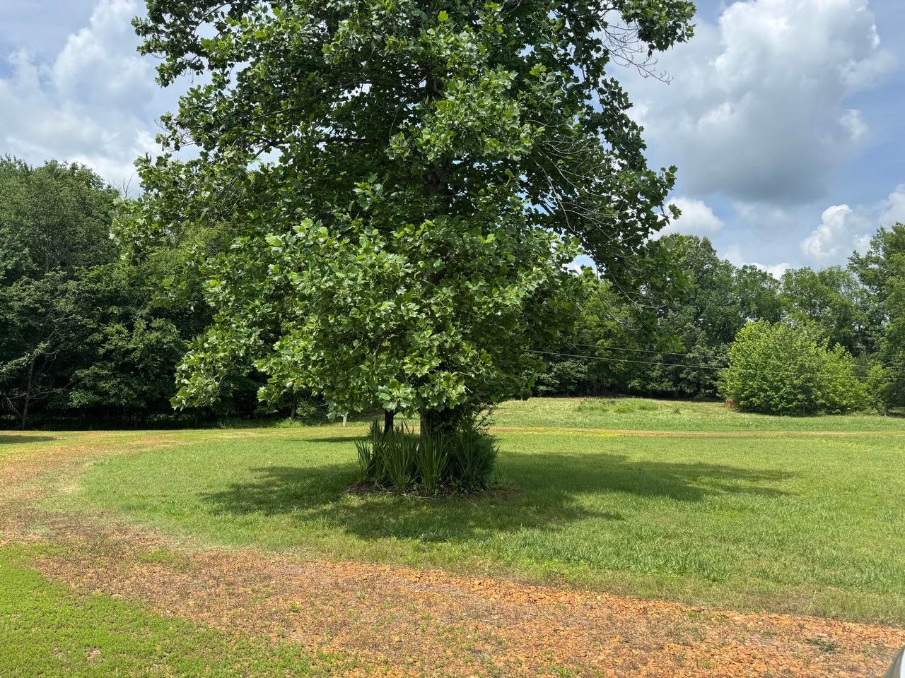 https://bt-photos.global.ssl.fastly.net/nashville/1280_boomver_1_RTC3500899-1.jpg