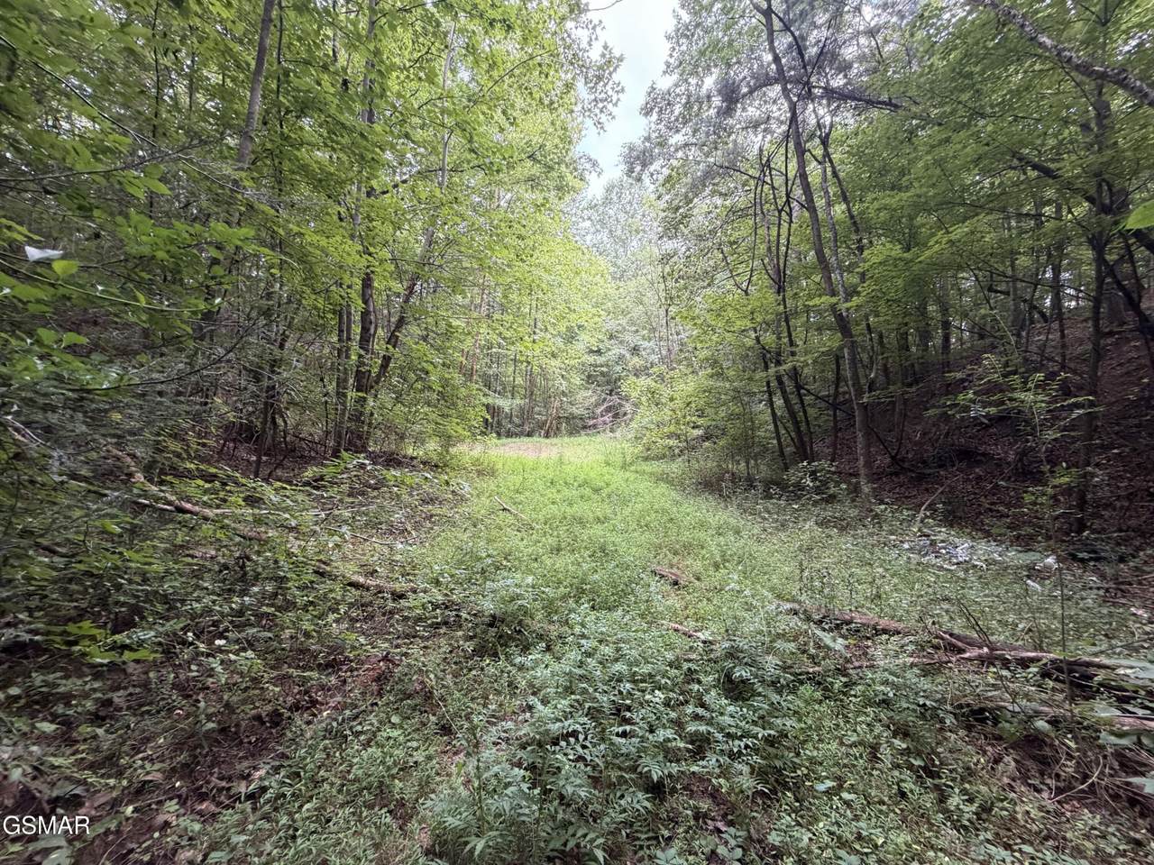 https://bt-photos.global.ssl.fastly.net/nashville/1280_boomver_1_RTC3500974-1.jpg