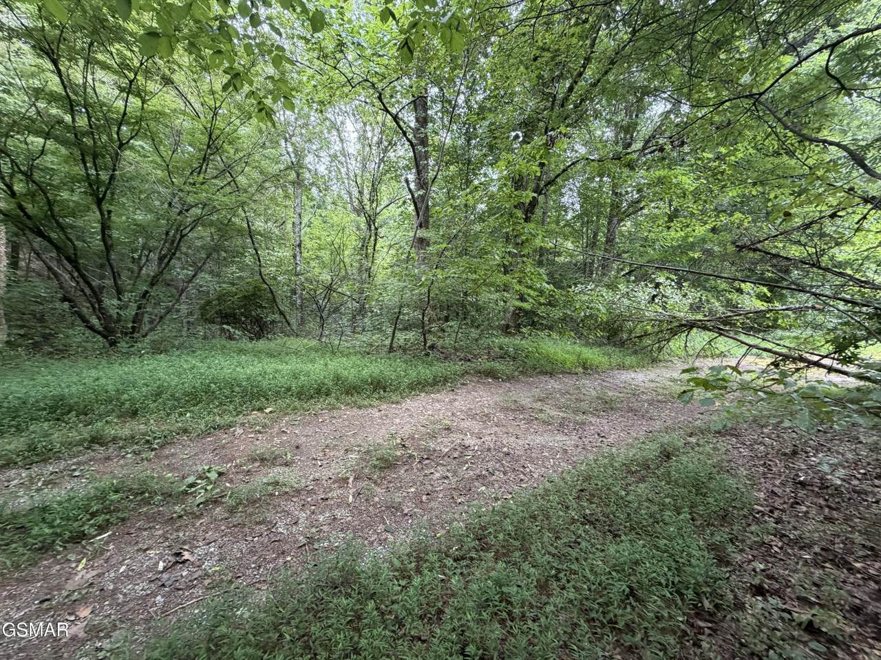https://bt-photos.global.ssl.fastly.net/nashville/1280_boomver_1_RTC3500974-1.jpg