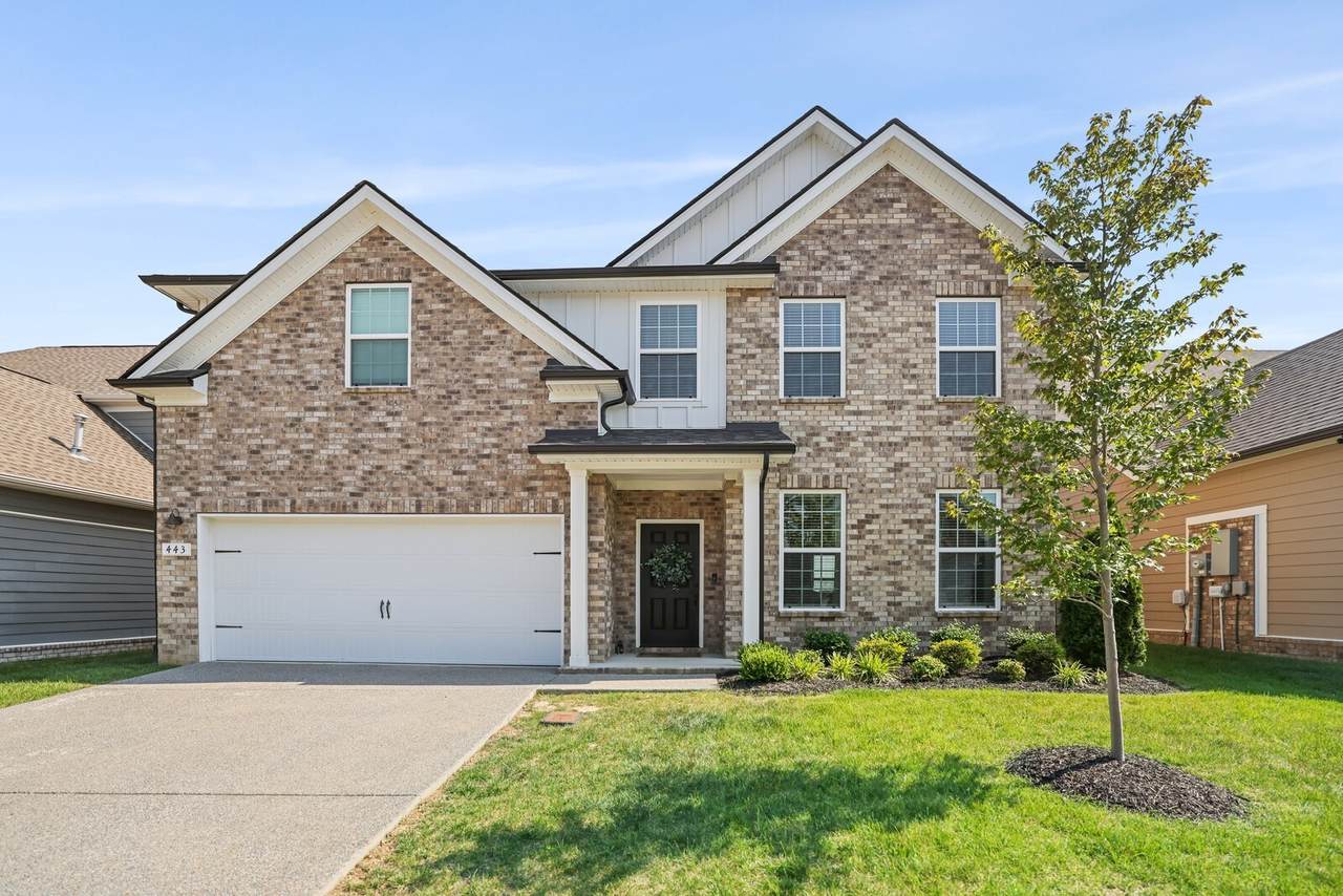 443 Black Walnut Dr - Photo 1
