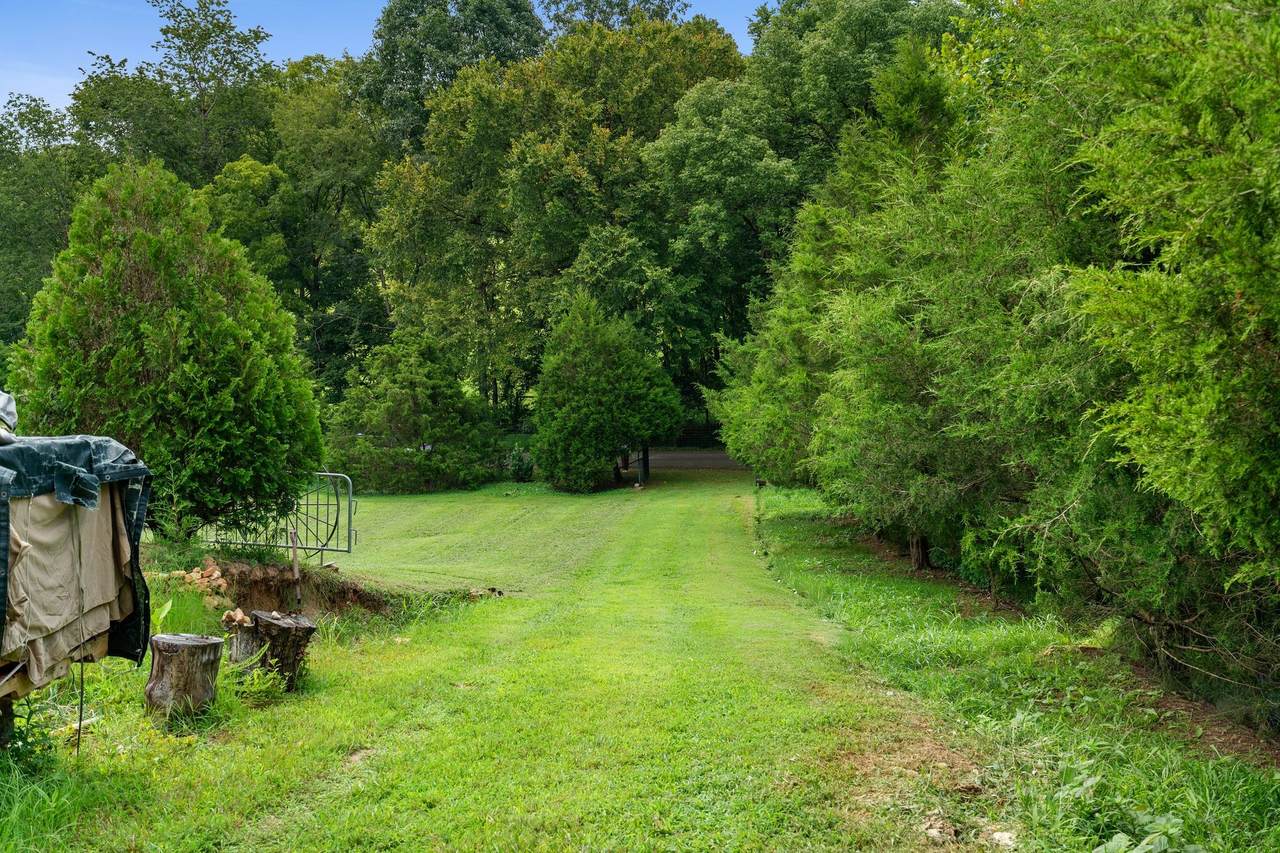 https://bt-photos.global.ssl.fastly.net/nashville/1280_boomver_1_RTC3505972-1.jpg