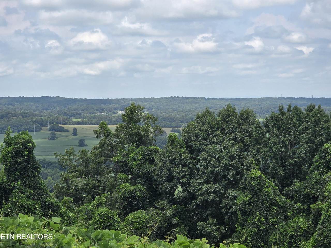 https://bt-photos.global.ssl.fastly.net/nashville/orig_boomver_2_RTC3506053-1.jpg