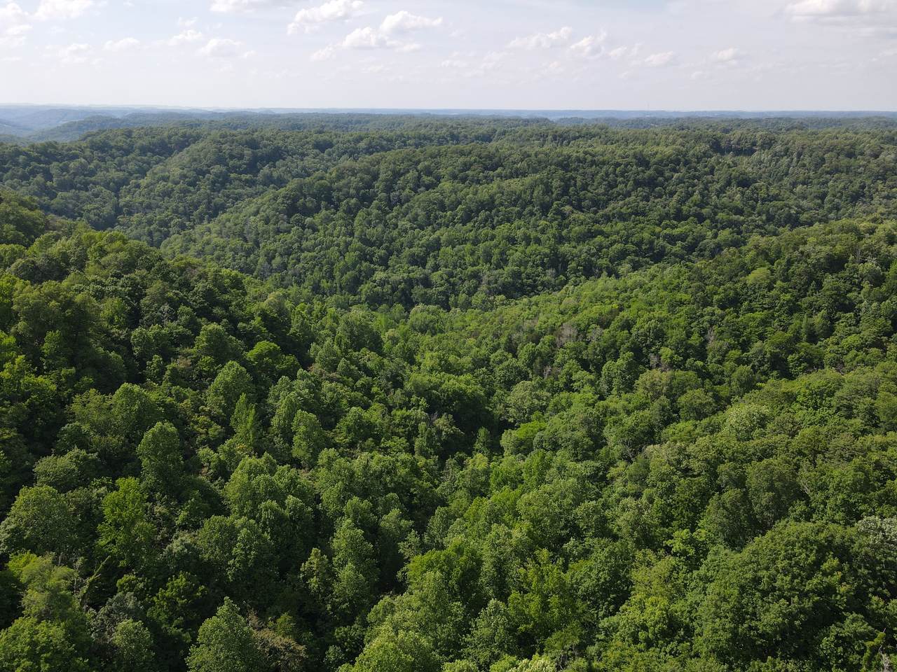 https://bt-photos.global.ssl.fastly.net/nashville/1280_boomver_1_RTC3506158-1.jpg