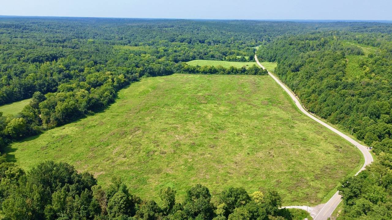 0 Danville Road - Photo 1