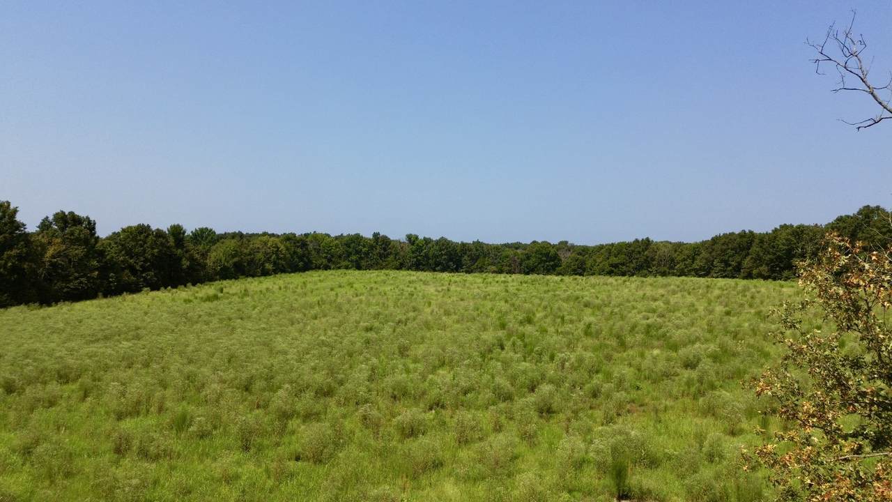 https://bt-photos.global.ssl.fastly.net/nashville/1280_boomver_1_RTC3508028-1.jpg
