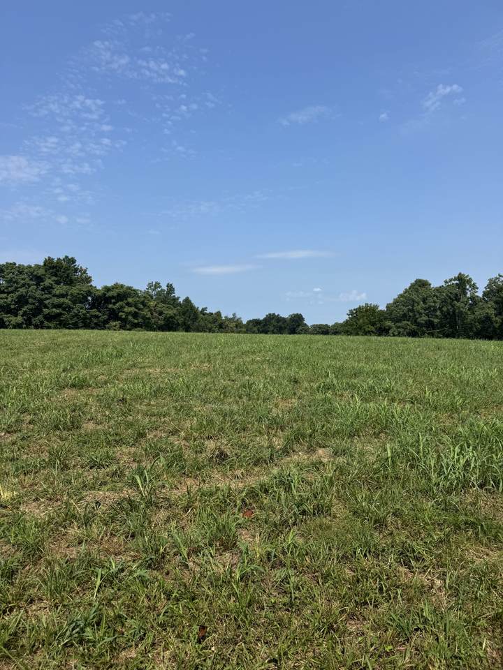 0 Ivy Lane - Photo 1