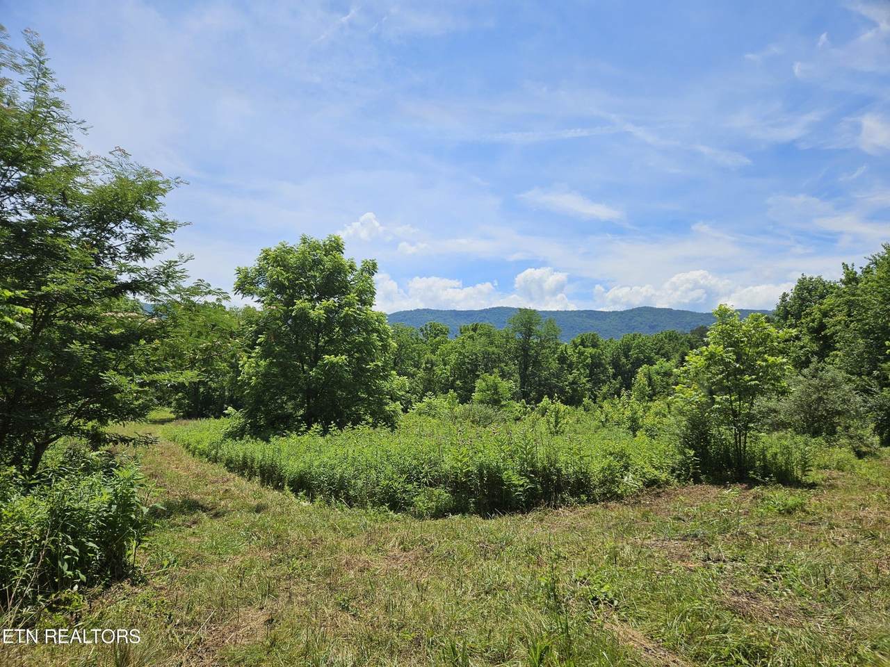 0 Six Mile Rd - Photo 1