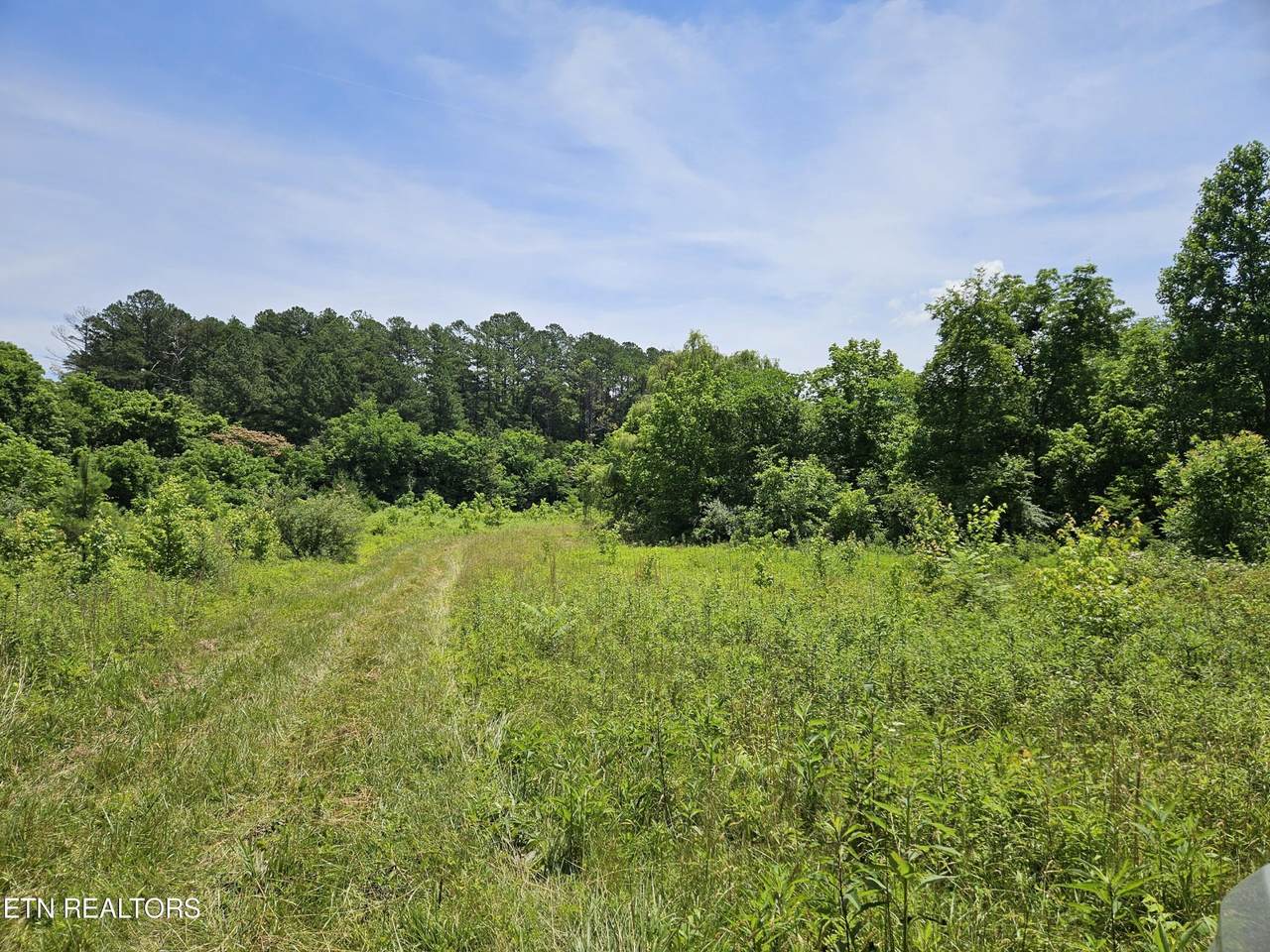 https://bt-photos.global.ssl.fastly.net/nashville/1280_boomver_1_RTC3512544-1.jpg