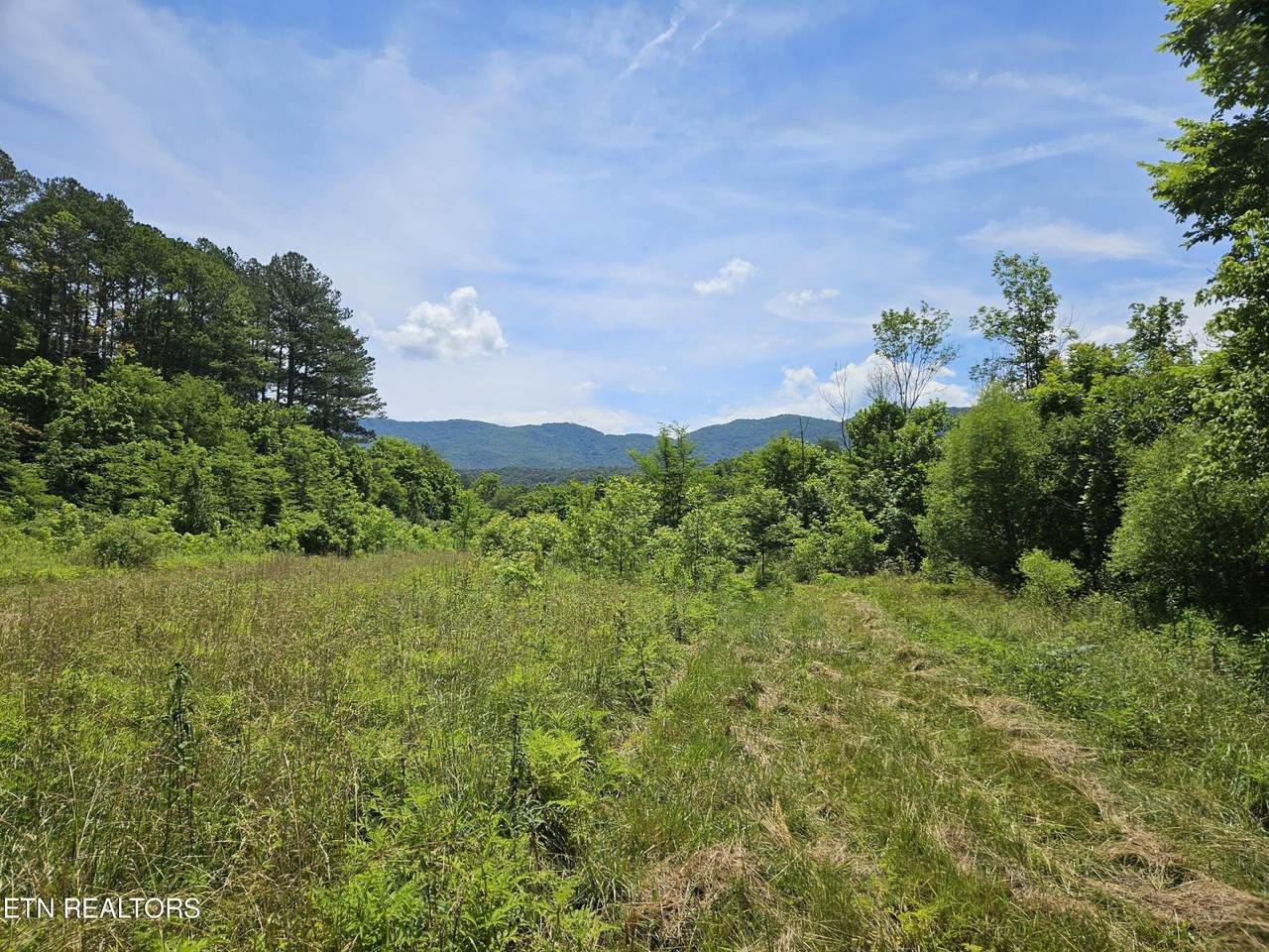 https://bt-photos.global.ssl.fastly.net/nashville/1280_boomver_1_RTC3512544-1.jpg