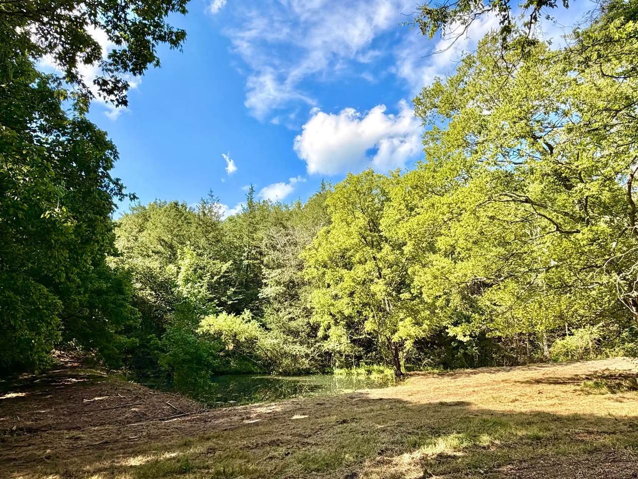 877 Hanna Branch Rd - Photo 1