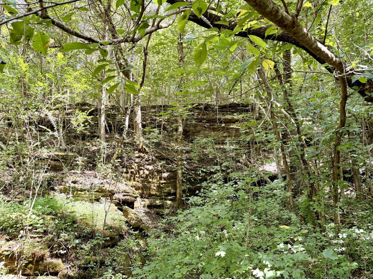 https://bt-photos.global.ssl.fastly.net/nashville/1280_boomver_1_RTC3514205-1.jpg