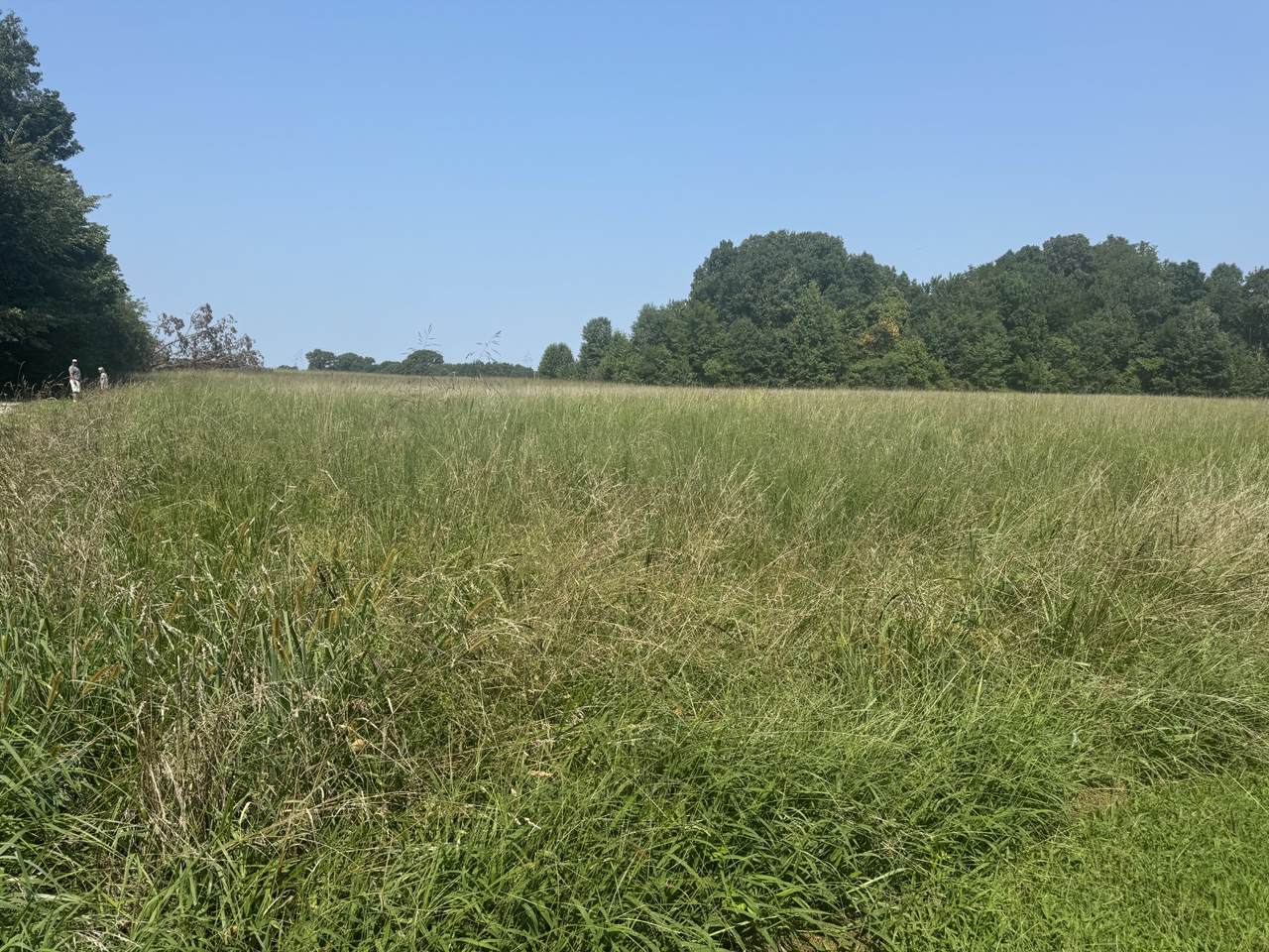 0 Bobbitt Rd - Photo 1