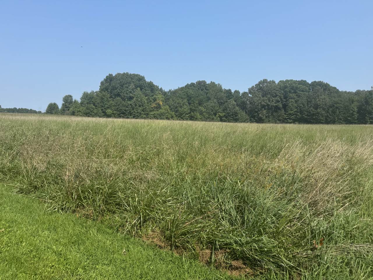 https://bt-photos.global.ssl.fastly.net/nashville/1280_boomver_1_RTC3515069-1.jpg