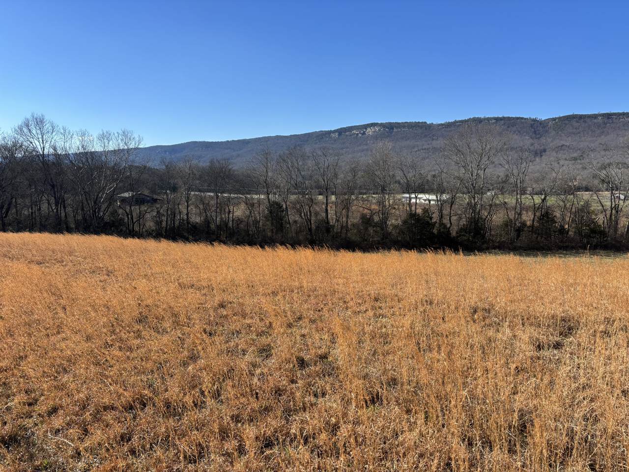 https://bt-photos.global.ssl.fastly.net/nashville/1280_boomver_1_RTC3518765-1.jpg