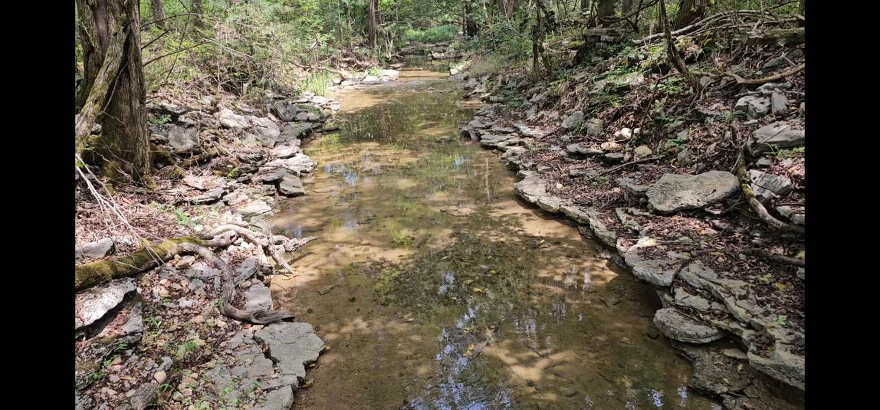 0 Whitfield Hollow Road - Photo 1