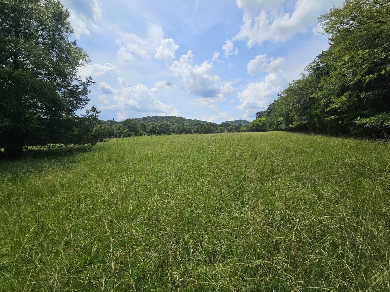 https://bt-photos.global.ssl.fastly.net/nashville/1280_boomver_1_RTC3518785-1.jpg