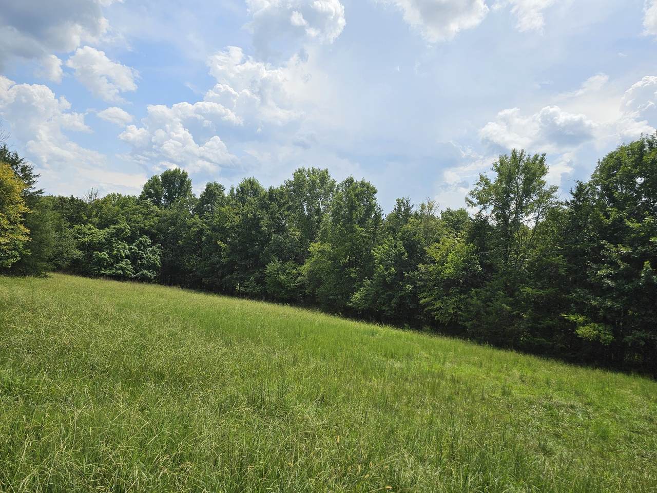 https://bt-photos.global.ssl.fastly.net/nashville/1280_boomver_1_RTC3518785-1.jpg