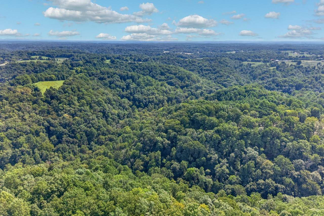 https://bt-photos.global.ssl.fastly.net/nashville/1280_boomver_1_RTC3520273-1.jpg