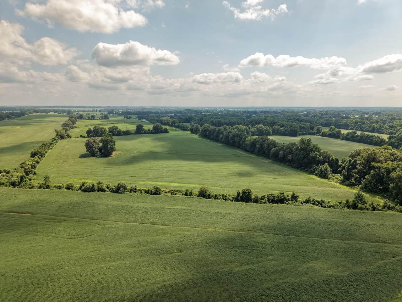 https://bt-photos.global.ssl.fastly.net/nashville/1280_boomver_1_RTC3520421-1.jpg