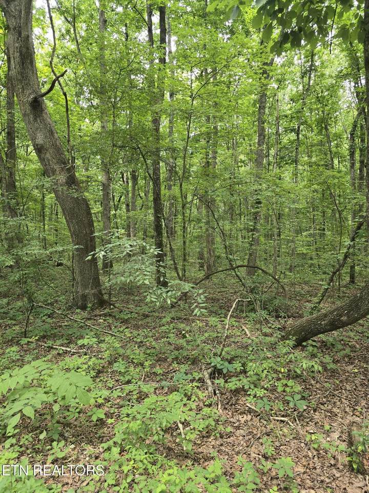 https://bt-photos.global.ssl.fastly.net/nashville/1280_boomver_1_RTC3523678-1.jpg
