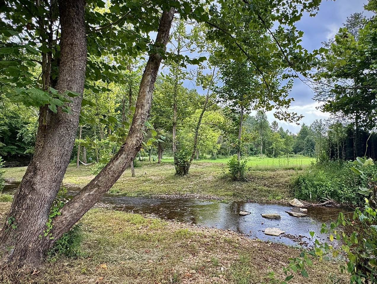 2280 Big Opossum Creek Rd - Photo 1