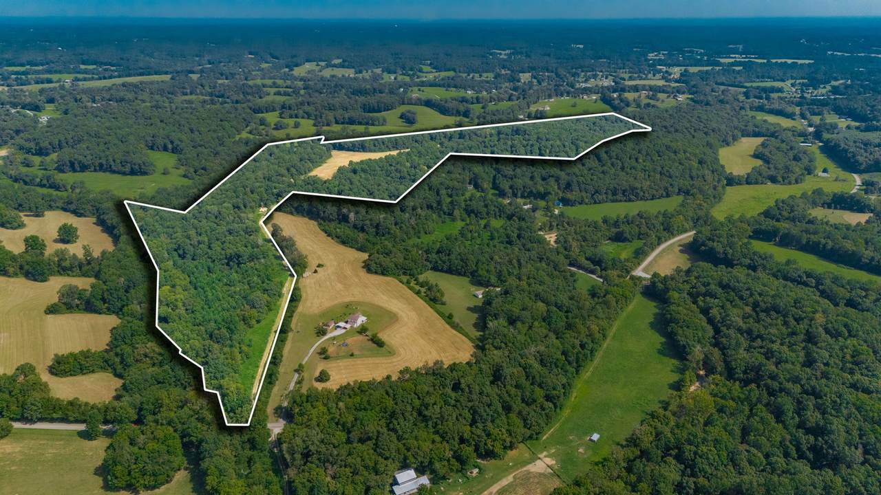 2313 Little Bartons Creek Rd - Photo 1