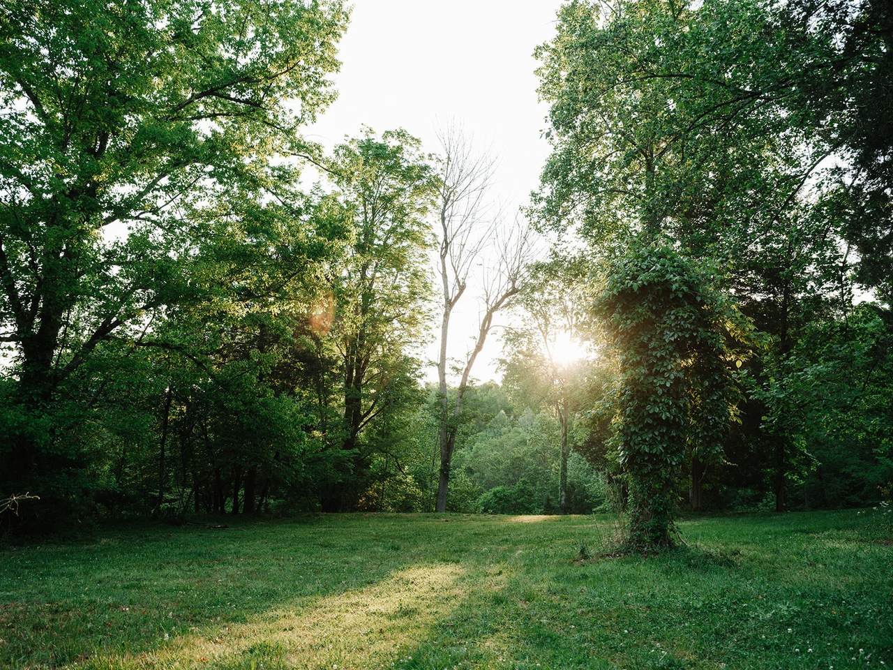 https://bt-photos.global.ssl.fastly.net/nashville/1280_boomver_1_RTC3526443-1.jpg