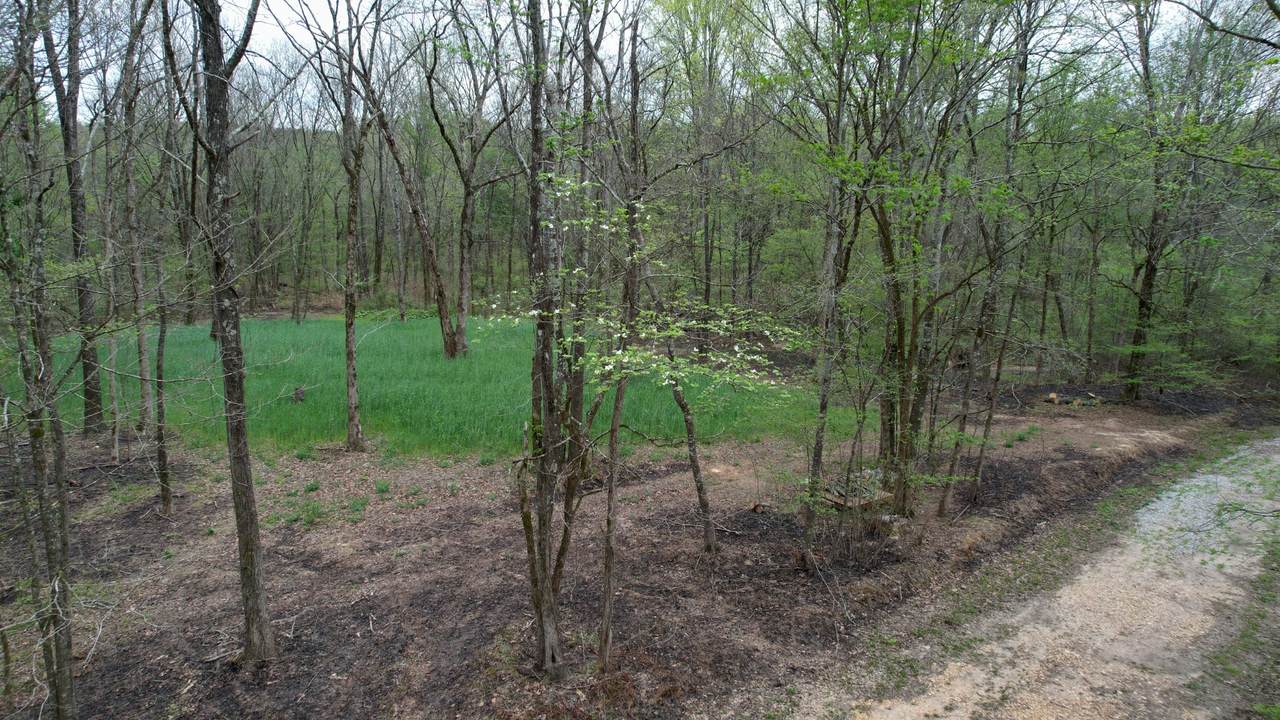 4424 Lane Spring Rd - Photo 1