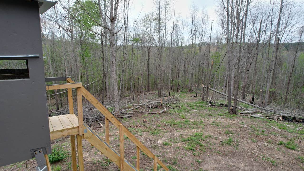 https://bt-photos.global.ssl.fastly.net/nashville/1280_boomver_1_RTC3527099-1.jpg