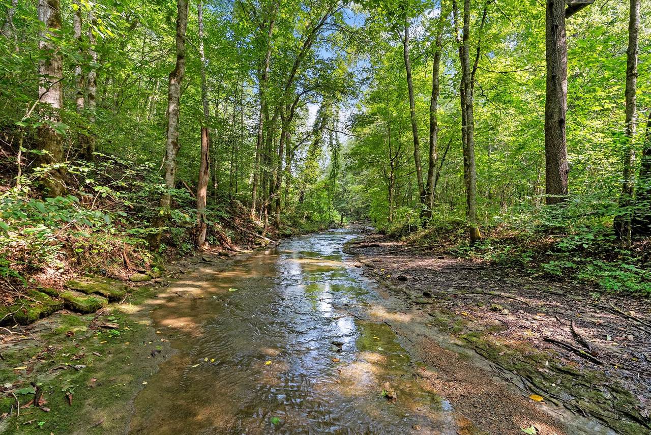 599 Jake Rockwell Rd - Photo 1