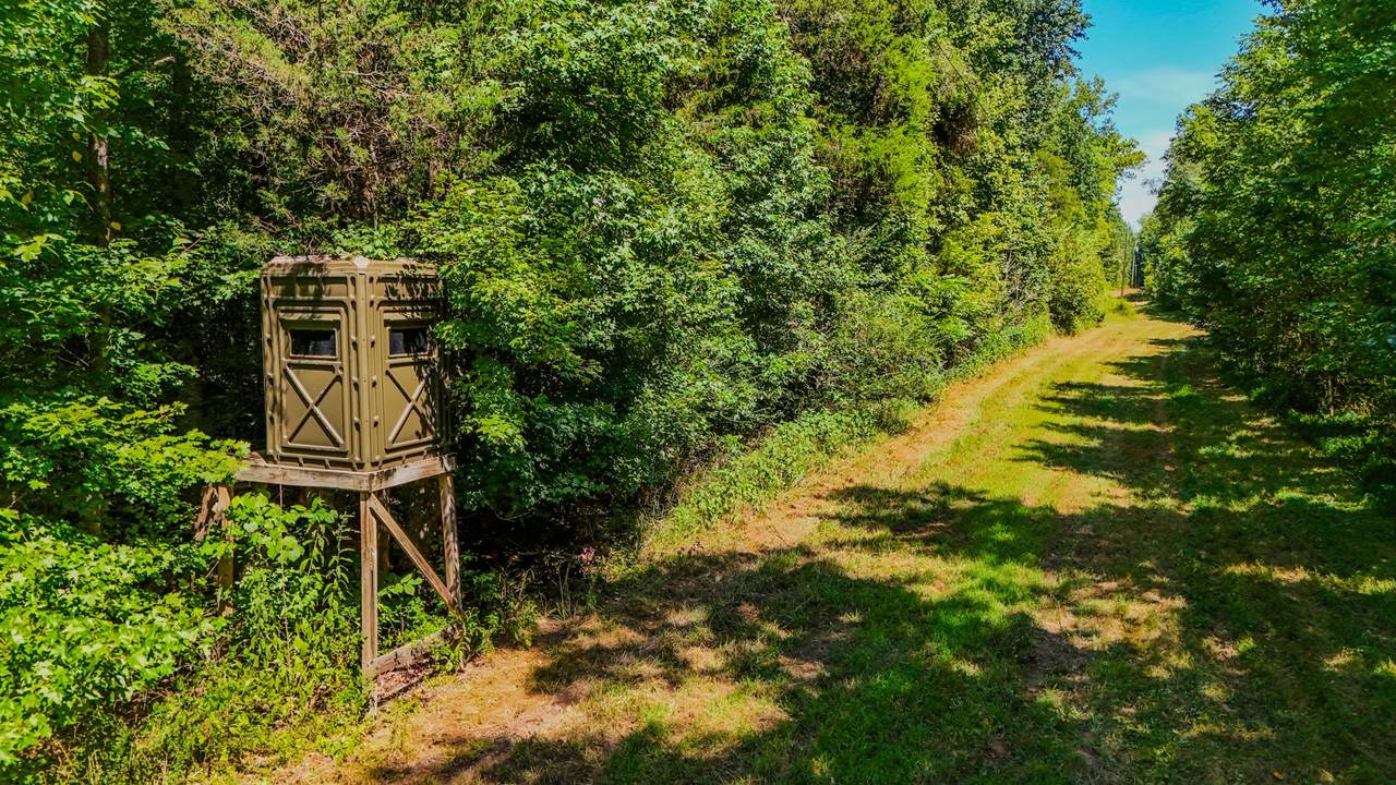 2195 Whiteoak Rd - Photo 1