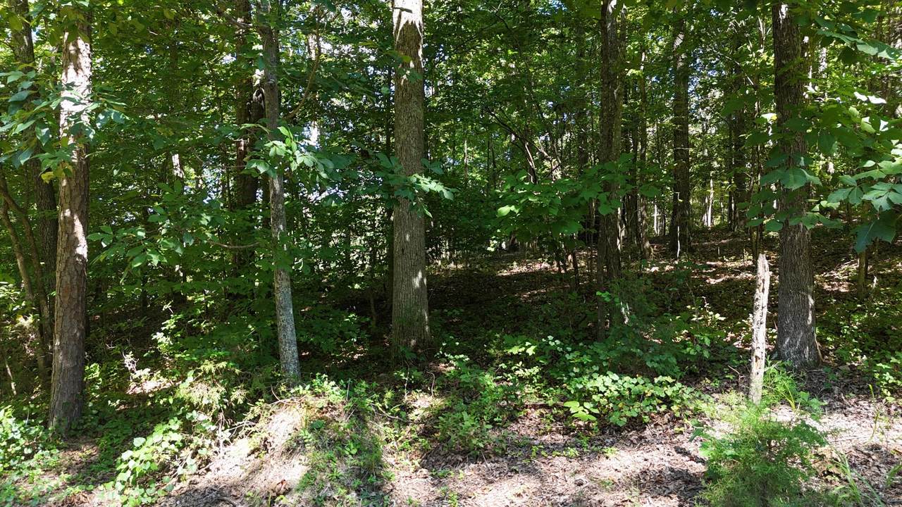 https://bt-photos.global.ssl.fastly.net/nashville/1280_boomver_1_RTC3527892-1.jpg