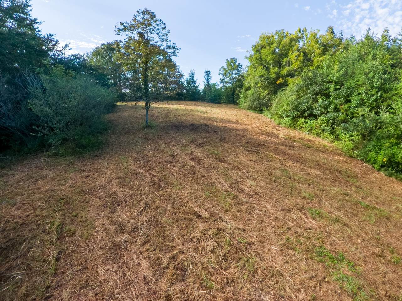 https://bt-photos.global.ssl.fastly.net/nashville/1280_boomver_1_RTC3528361-1.jpg
