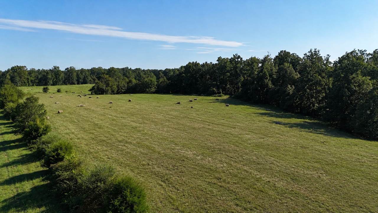 https://bt-photos.global.ssl.fastly.net/nashville/1280_boomver_1_RTC3528758-1.jpg