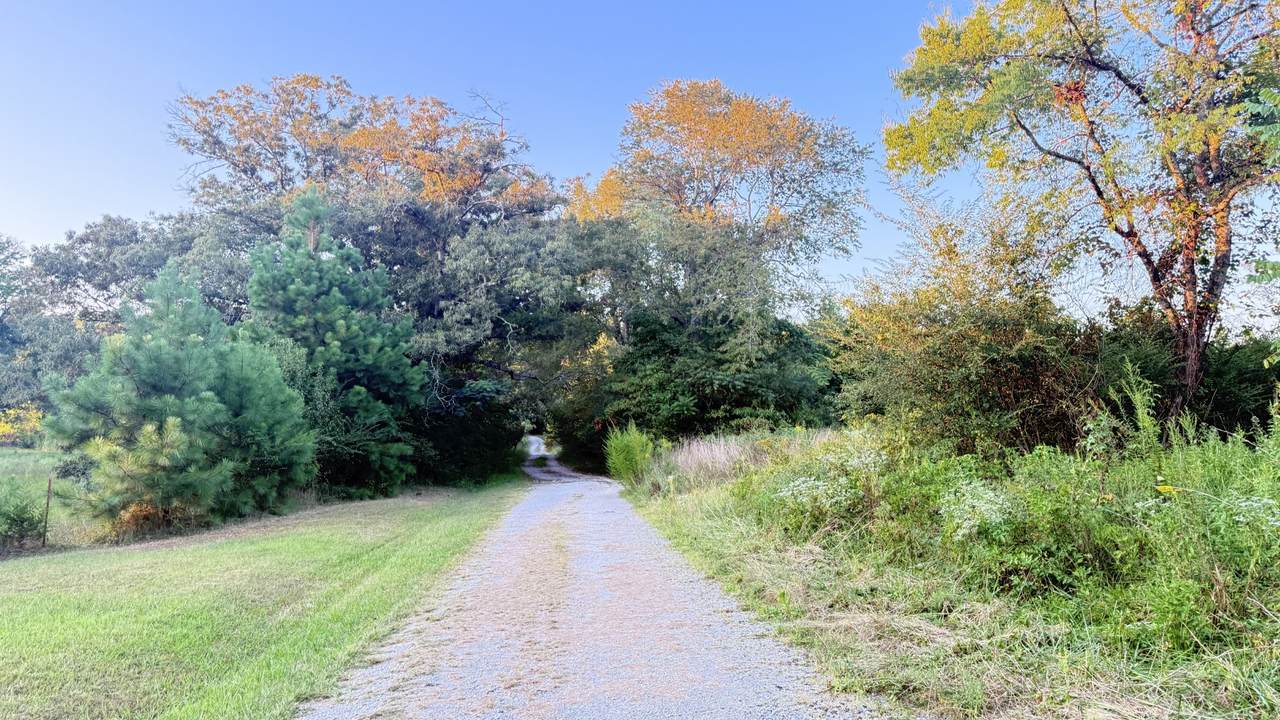 https://bt-photos.global.ssl.fastly.net/nashville/1280_boomver_1_RTC3529800-1.jpg