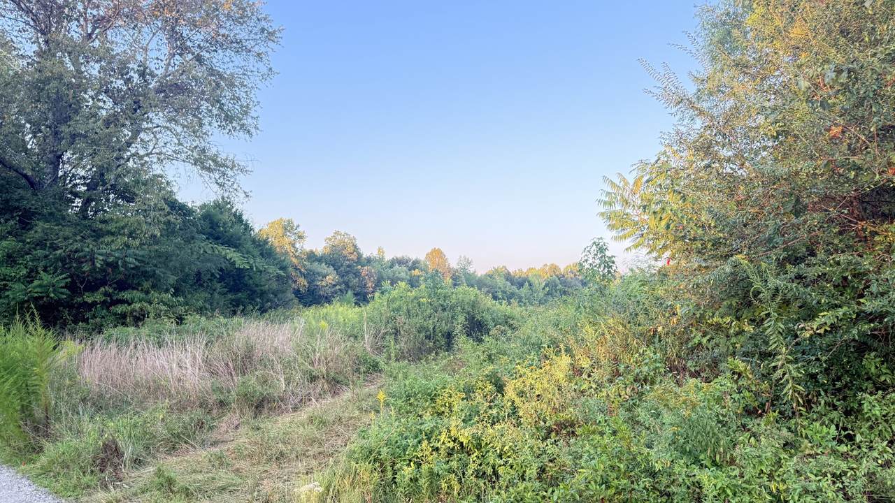 https://bt-photos.global.ssl.fastly.net/nashville/1280_boomver_1_RTC3529800-1.jpg