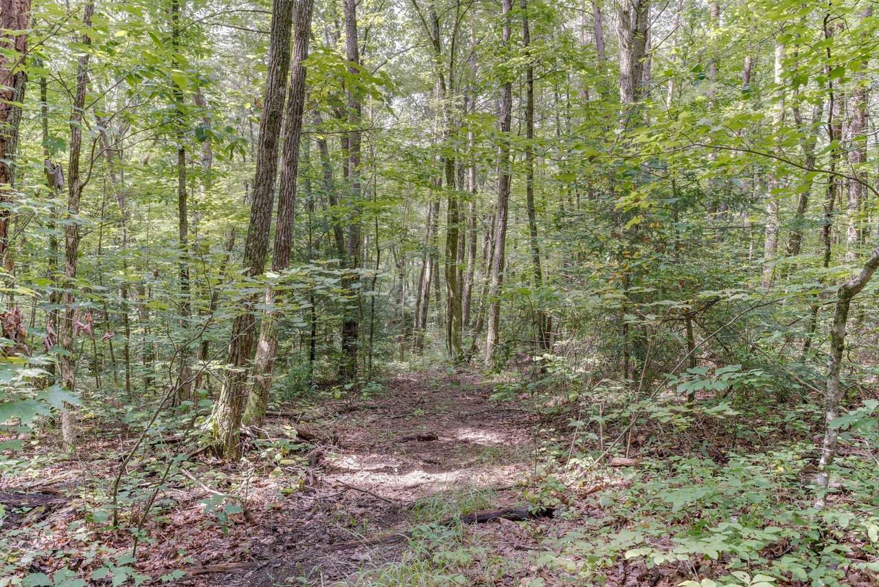 https://bt-photos.global.ssl.fastly.net/nashville/1280_boomver_1_RTC3530227-1.jpg