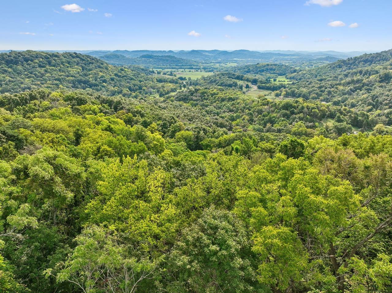 2100 Hawkins Branch Rd - Photo 1
