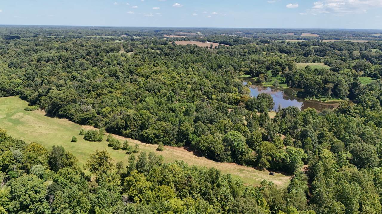 https://bt-photos.global.ssl.fastly.net/nashville/1280_boomver_1_RTC3530873-1.jpg