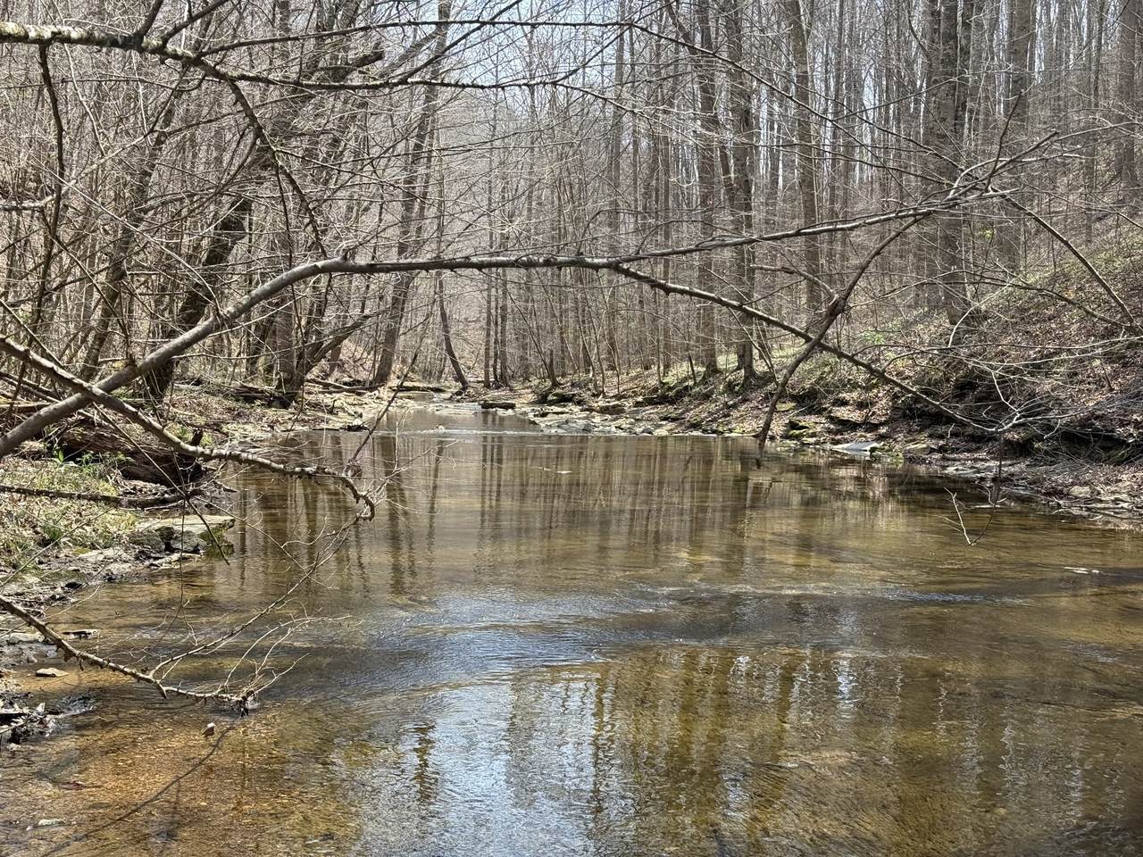 https://bt-photos.global.ssl.fastly.net/nashville/1280_boomver_1_RTC3531010-1.jpg