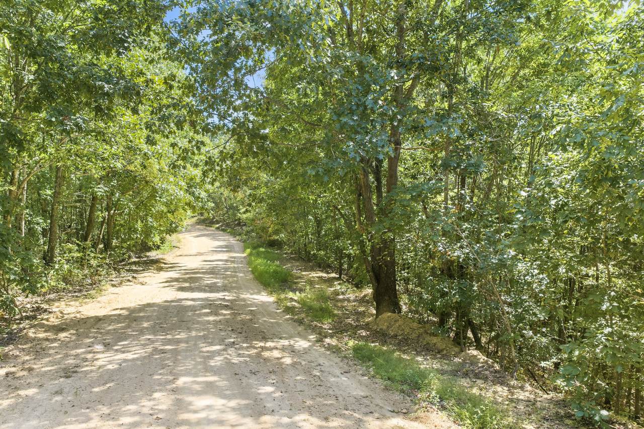 https://bt-photos.global.ssl.fastly.net/nashville/1280_boomver_1_RTC3531078-1.jpg