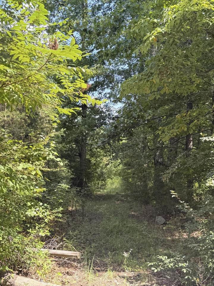 704 Windstone Drive - Photo 1