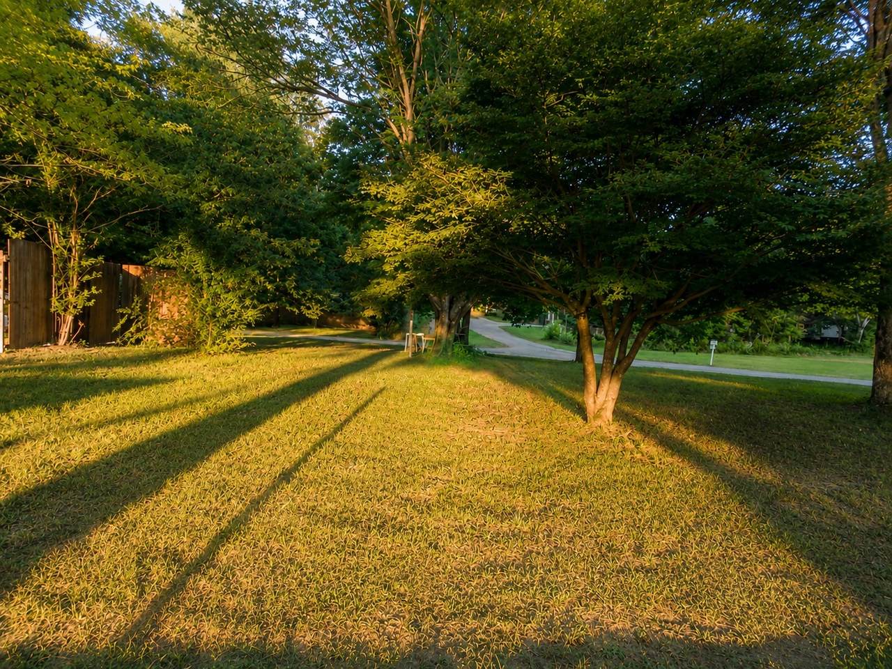 https://bt-photos.global.ssl.fastly.net/nashville/1280_boomver_1_RTC3531646-1.jpg