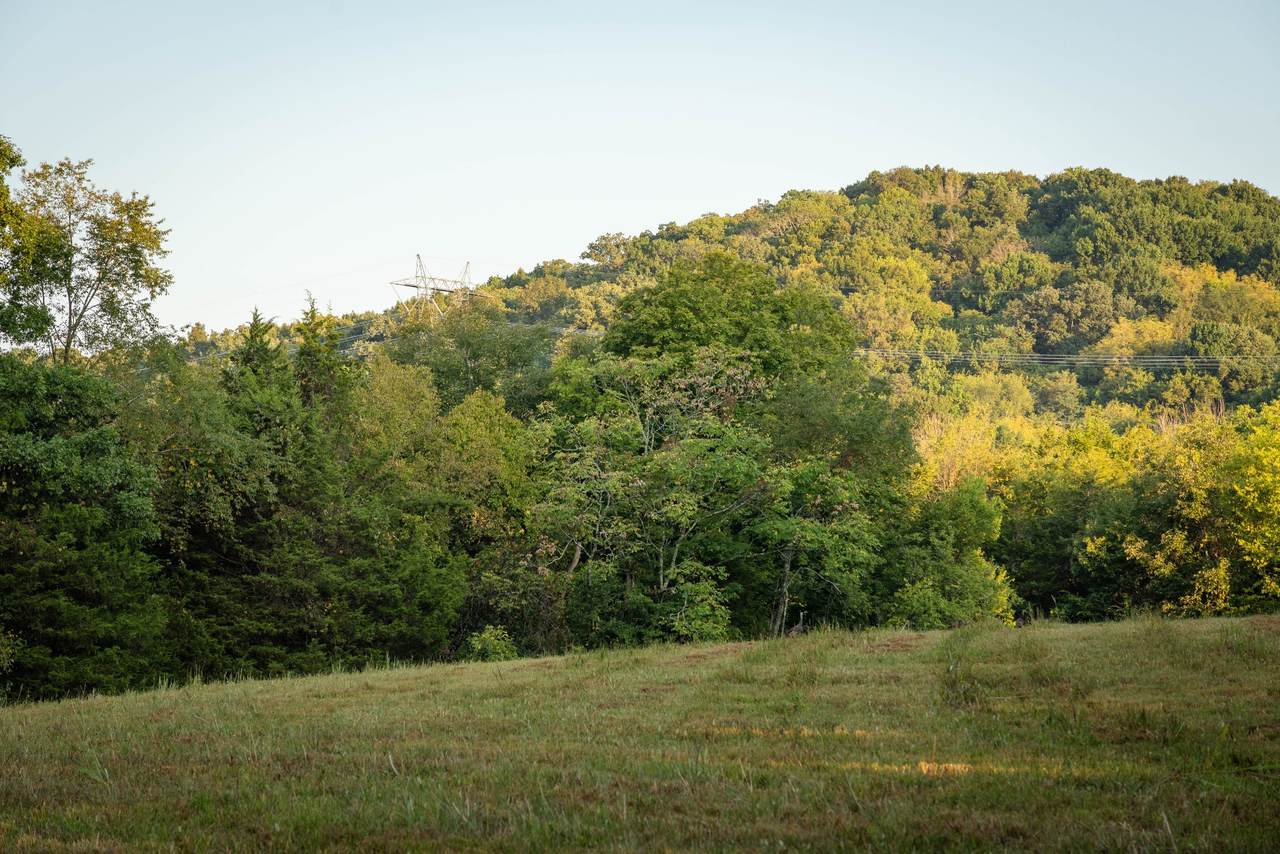 https://bt-photos.global.ssl.fastly.net/nashville/1280_boomver_1_RTC3541098-1.jpg
