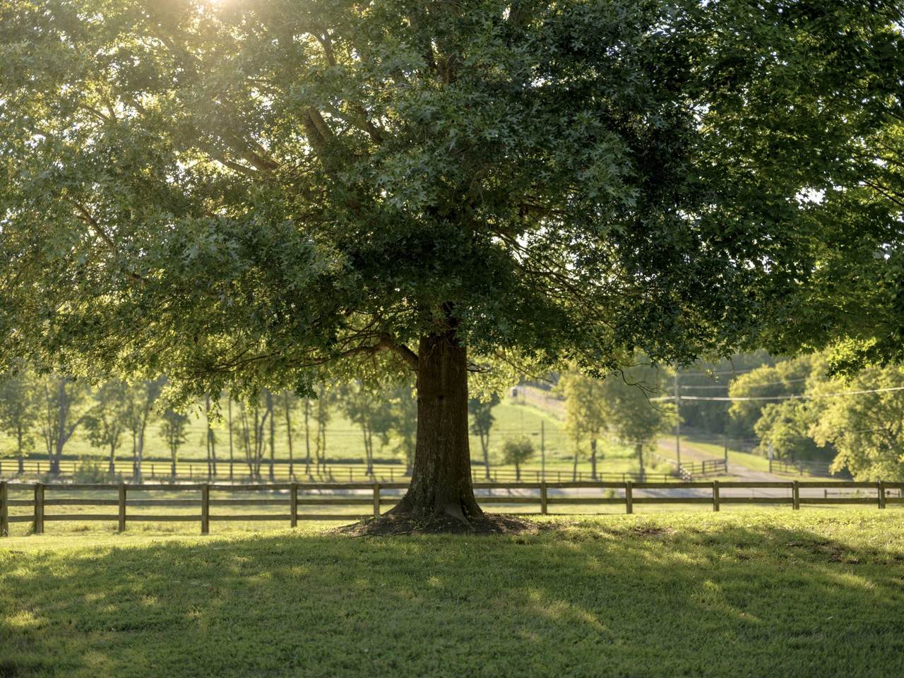 https://bt-photos.global.ssl.fastly.net/nashville/1280_boomver_1_RTC3542284-1.jpg