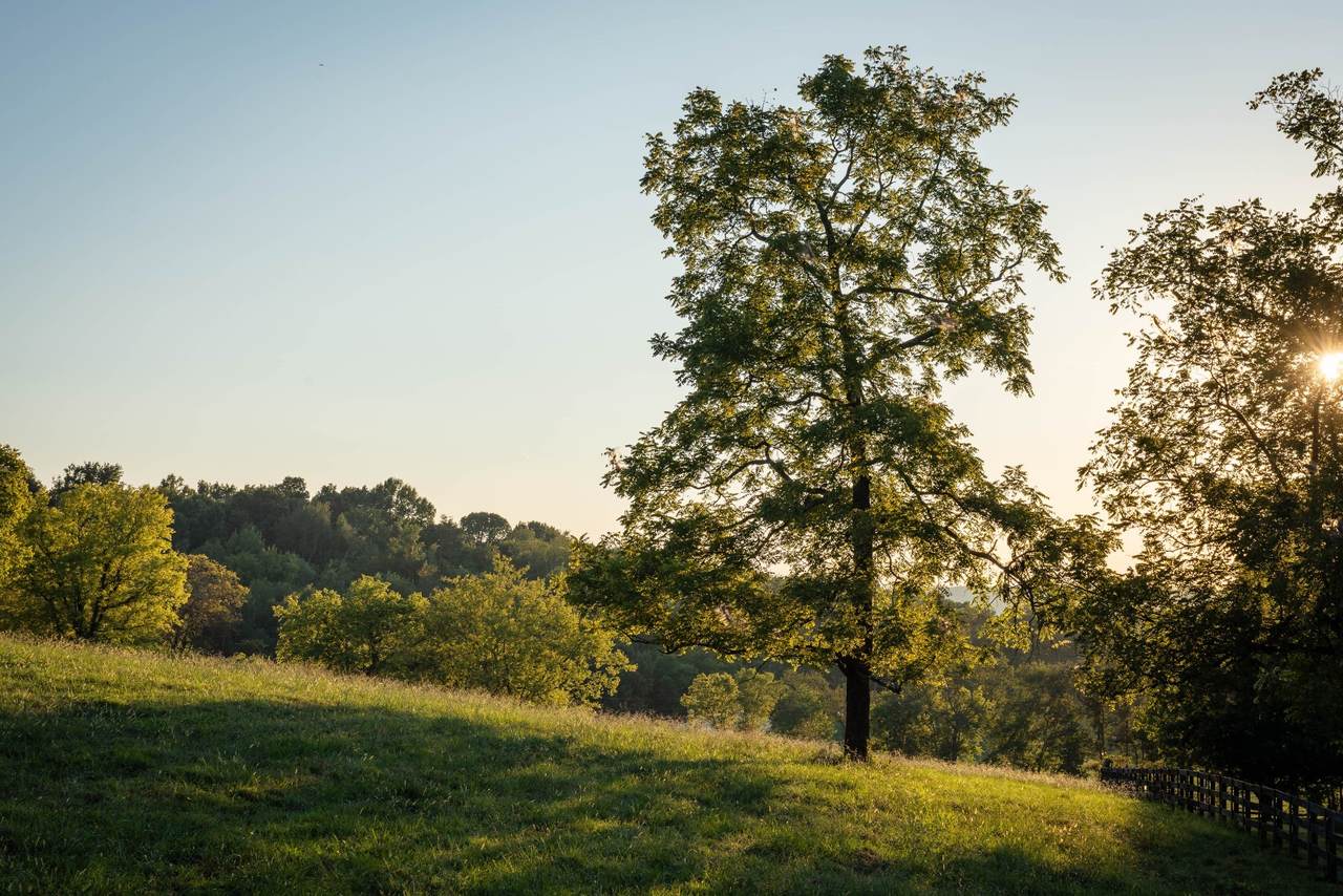 https://bt-photos.global.ssl.fastly.net/nashville/1280_boomver_1_RTC3542284-1.jpg