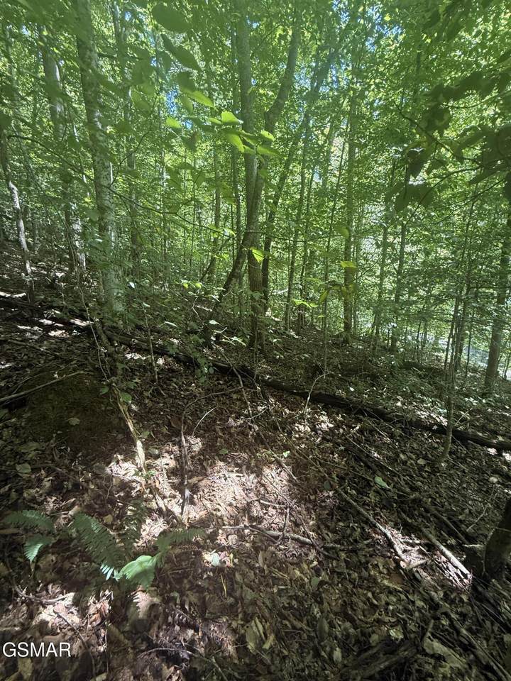 https://bt-photos.global.ssl.fastly.net/nashville/1280_boomver_1_RTC3542945-1.jpg